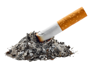 stubbed out cigarette isolated on white background, cut out
