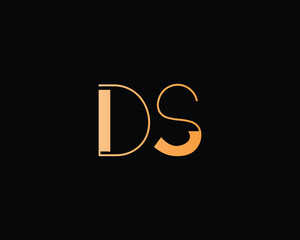 Creative letter DS logo design for company