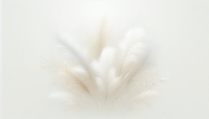 Obraz premium White feather plume, soft and light, isolated on a black background