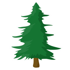 Winter Pine Tree Hand drawn 