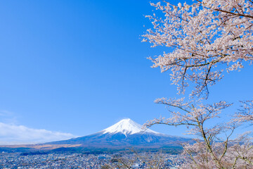 新倉山浅間公園　春の富士山