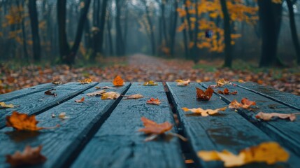 Autumn Pathway with Leaves in Foggy Forest Setting