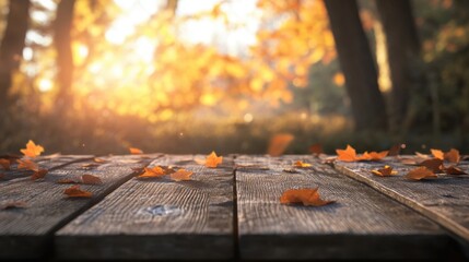 Autumn Leaves on Rustic Wooden Plank Deck with Soft Sunlight