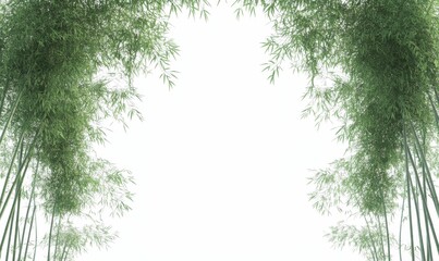 Fototapeta premium Lush green bamboo stalks frame a white background.
