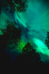 Nothern lights show in Norway. Aurora Borealis