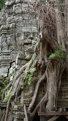 Angkor Wat Siem Reap Cambodia temple ruins and sculptures
