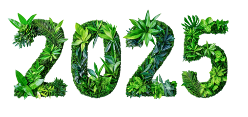 eco number 2025 creative design, greenery numbers for new year, earth day. eco poster decoration, cutout PNG