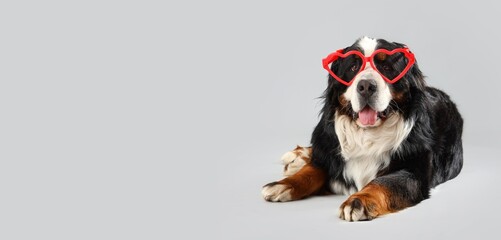 Cute dog wearing heart-shaped glasses on light background with space for text. Valentine's Day...