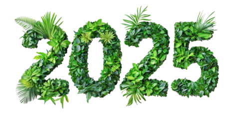 number 2025 for new year, spring fresh plants leaves, earth day. eco poster decoration, cutout PNG