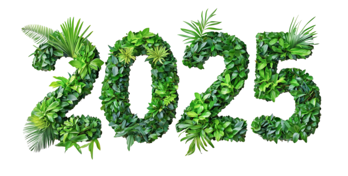 number 2025 for new year, spring fresh plants leaves, earth day. eco poster decoration, cutout PNG