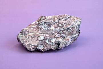 Pelitic Schist Rock isolated on light Background