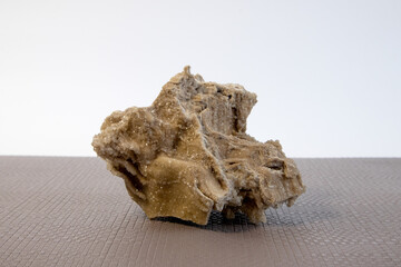 Ancient old petrified wood, excavation, minerals, as nice background Narrow focus line, shallow depth of field macro