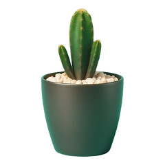 A single potted cactus in a sleek pot isolated on a solid colour background.