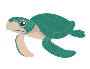 ウミガメのイラスト