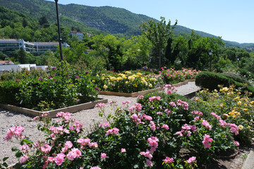 Il Roseto del Parco di San Giovanni a Trieste, Friuli-Venezia Giulia, Italia.