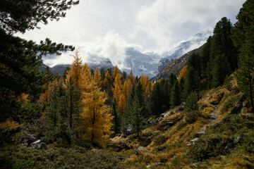 Valley of Morteratsch (Pontresina, Engadin) with the Morteratsch glacier in the background