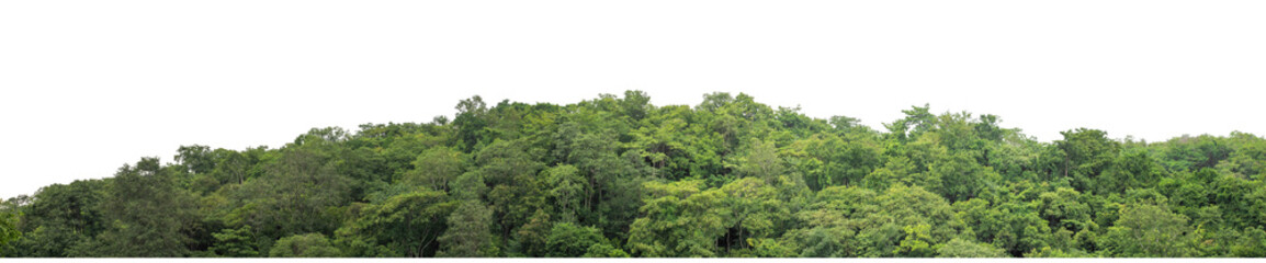 Isolated Mountain on transparent background with clipping path and alpha channel, high resolution.