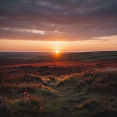 Moore - Sanfte Abendruhe im Moor unter dem Sonnenuntergang