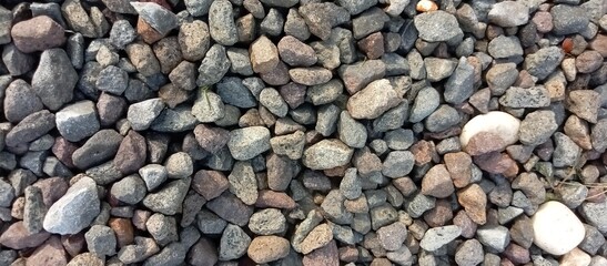 pebbles that decorate the garden