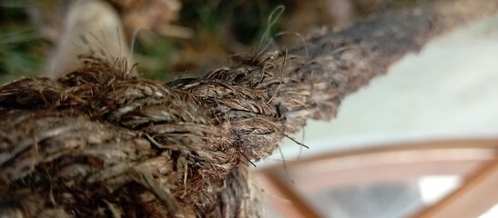 ropes made from natural materials get wet from rain