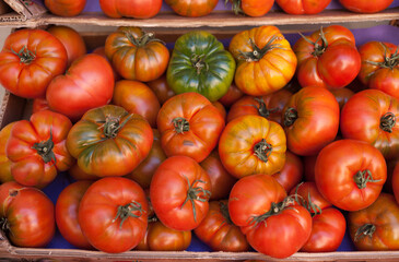 Fresh tomatoes on branch in wicker baskets on counter