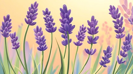 Naklejka premium Lavender Flowers Blooming in Soft Sunlight