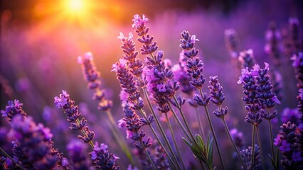 Naklejka premium Serene Low Light Photography of a Bunch of Purple Lavender Flowers Against a Softly Lit Background Capturing the Essence of Tranquility and Nature's Beauty