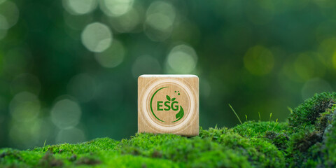 ESG concept of environment, social and governance. Sustainable business with ecological approach. Keep the world clean. Wooden block with word esg on green forest background.