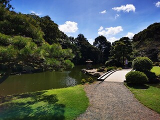 the river in the park