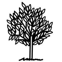 Obraz premium silhouette of tree