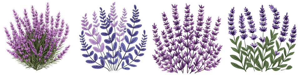 Naklejka premium Beautiful Lavender Botanical Flat Design Element with Vibrant Purple Flowers and Lush Foliage Elegant Floral Perfect for Designs