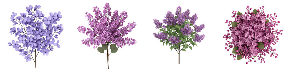 Obraz premium This 3D render depicts a lush fragrant lilac bush with an abundance of vibrant purple blossoms The floral elements showcase the beauty and natural appeal of this popular springtime plant