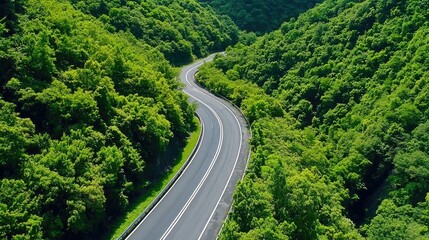 A winding road cuts through lush green hills, surrounded by vibrant foliage under clear blue skies, showcasing the beauty of nature.