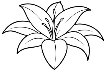 A simple White Lily line art vector white background