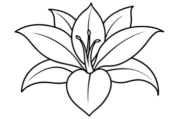 A simple White Lily line art vector white background