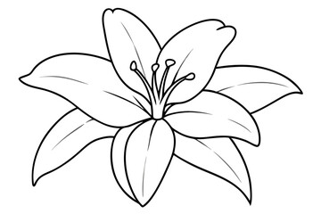 A simple White Lily line art vector white background