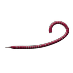 christmas and new year