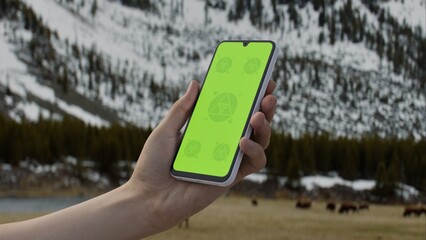 GREEN SCREEN CHROMA KEY A hand holding a smartphone with a green screen in Yellowstone National Park, with bisons walking in the snowy background. Ideal for travel apps or nature-themed content
