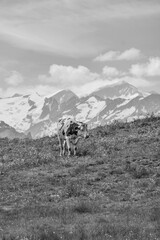 Österreich im Sommer