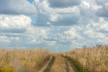 Winding dirt path stretches through tall golden grasses, with a vibrant sky overhead showcasing billowing clouds.