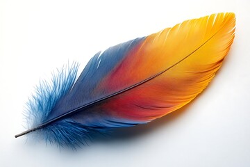 Beautiful feather made from macaw feather isolated on white background.
