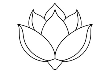 A simple Flower Bud line art vector white background