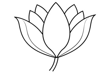 A simple Flower Bud line art vector white background