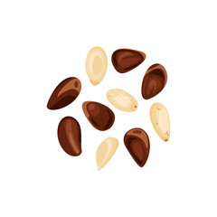 Pine nuts isolated on white background. Vector cartoon illustration. Healthy food icon.