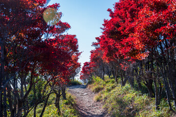 日本の兵庫県赤穂市の雄鷹台山の美しい風景