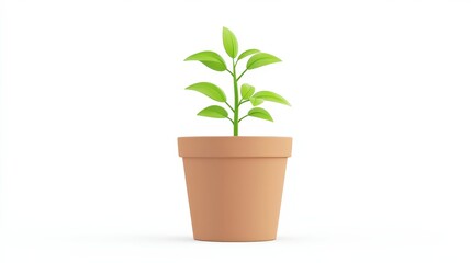 Green Plant Growing in Simple Clay Pot on White Background