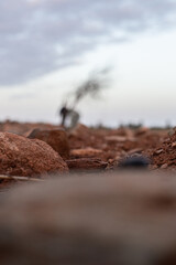 Rustic red soil and natural rocks in soft focus. Earthy tones with a blurred background for serene, organic compositions.