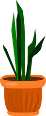 Plant in a pot vector