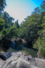 Serene View of Lush Forest and Tranquil Waterfall Beneath Blue Sky