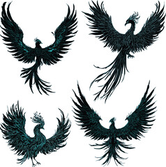Fototapeta premium set of four blue phoenixes isolated on white